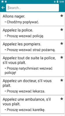 French - Polish android App screenshot 4